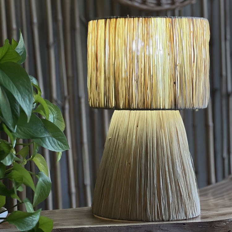 آباژور حصیری